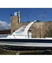 Barca cicala & Bertinetti