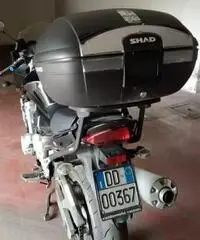 Suzuki bandit s 650 Suzuki bandit s 650