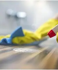 Roma Express Cleaning - Servizi Pulizie a Roma Roma Express Cleaning - Servizi Pulizie a Roma