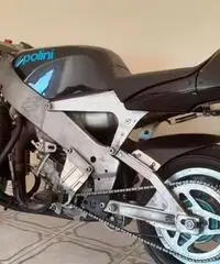 Minimoto Polini 910 Minimoto Polini 910