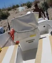 Ombrina 4,95 mt motore honda 40 cv