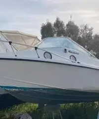 Barca Gobbi mt 7 motore yamaha 150cv Barca Gobbi mt 7 motore yamaha 150cv