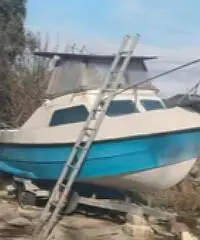 Barca con carrello