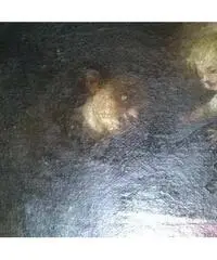 Dipinto Olio su tela del 600 - Genova Dipinto Olio su tela del 600 - Genova