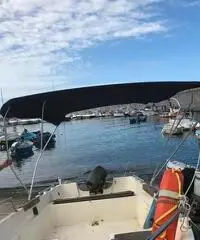 Barca a motore