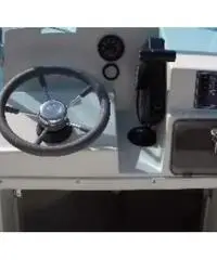 Barca a motore