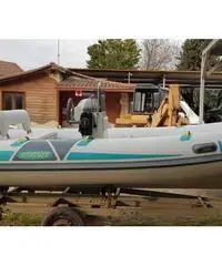 Stingher 484 Stingher 484