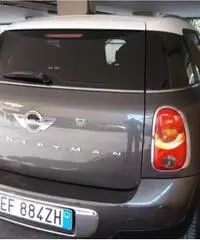 Mini countryman