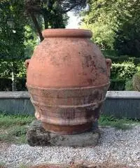 Orci fiorentini - Roma Orci fiorentini - Roma