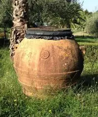 Orci fiorentini - Roma Orci fiorentini - Roma