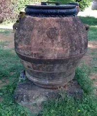 Orci fiorentini - Roma Orci fiorentini - Roma