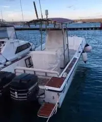 Barche Rover 26 wolkraud