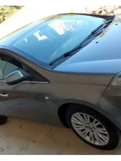 Fiat bravo Fiat bravo