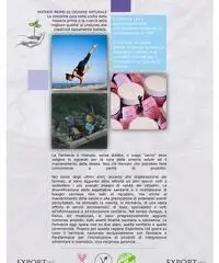 Venditore F&B, Cosmetica, Digital Marketing Venditore F&B, Cosmetica, Digital Marketing