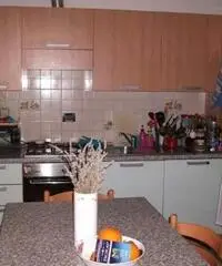 Appartamento in Affitto a 500€ - Firenze Appartamento in Affitto a 500€ - Firenze