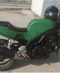 Triumph speed triple 1000