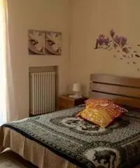 Privato affitta bilocale in Via Verolengo 133 Torino Privato affitta bilocale in Via Verolengo 133 Torino