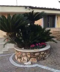 Affitto appartamento eur - Roma Affitto appartamento eur - Roma