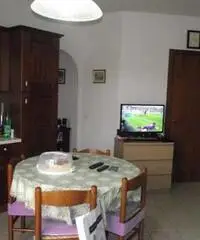 Appartamento in Affitto - CASTELLINA SCALO - Siena Appartamento in Affitto - CASTELLINA SCALO - Siena