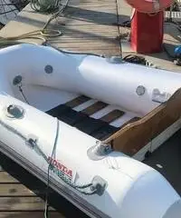 Tender Dolphin 200