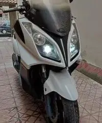 Kimco downtown 300