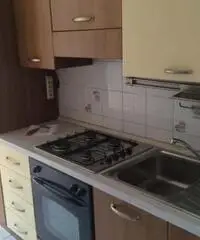 Torino: Appartamento Bilocale