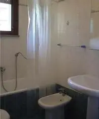 BILOCALE OTTIME CONDIZIONI - Firenze BILOCALE OTTIME CONDIZIONI - Firenze