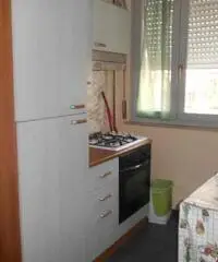 Piacenza: Appartamento Bilocale Piacenza: Appartamento Bilocale