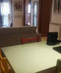Appartamento in Affitto di 50mq - Arezzo Appartamento in Affitto di 50mq - Arezzo