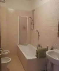 Appartamento in Affitto di 50mq - Arezzo Appartamento in Affitto di 50mq - Arezzo