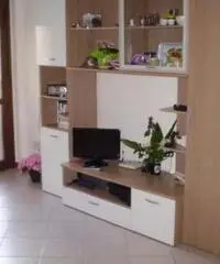 Arezzo Affitto Appartamento Arezzo Affitto Appartamento