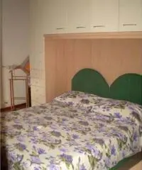 Arezzo Affitto Appartamento Arezzo Affitto Appartamento