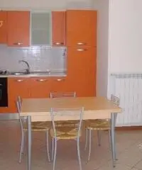 Arezzo Affitto Appartamento Arezzo Affitto Appartamento