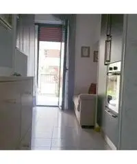 Appartamento in Affitto 50mq - Arezzo Appartamento in Affitto 50mq - Arezzo