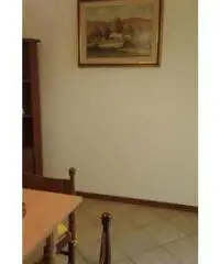 Appartamento di 2 locali in Affitto - Arezzo Appartamento di 2 locali in Affitto - Arezzo