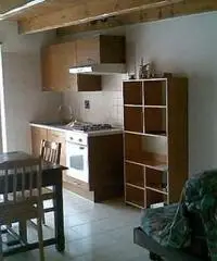 Nichelino, appartamento 50 mq, arredato. - Torino Nichelino, appartamento 50 mq, arredato. - Torino