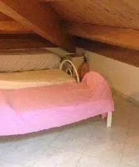 Appartamento in Affitto di 55mq - Marche