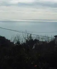 Appartamento in Affitto di 60mq - Napoli Appartamento in Affitto di 60mq - Napoli