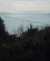 Appartamento in Affitto di 60mq - Napoli Appartamento in Affitto di 60mq - Napoli