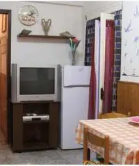 BILOCALE TALAMONE ESTATE O FISSO - Grosseto BILOCALE TALAMONE ESTATE O FISSO - Grosseto