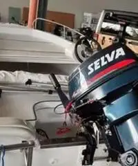 Barca Marino con motore Selva 25 hp