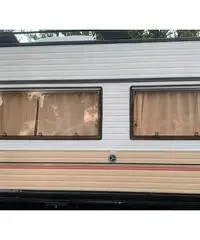 Camper arca