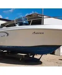 Saver 550 del 2010