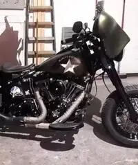 Harley softail slim S Harley softail slim S