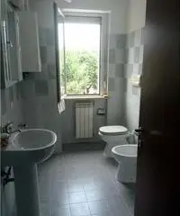 Bilocale arredato in ottimo stato - Viterbo