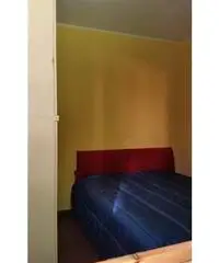 Appartamento di 2 locali in Affitto - Arezzo