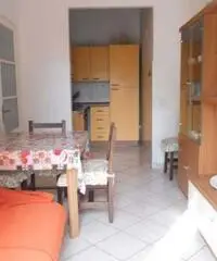 Novara Affitto Appartamento