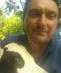 Bergamino Bergamino