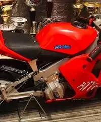 Minimoto POLINI ducati corse Minimoto POLINI ducati corse