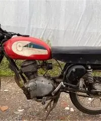 Giubileo